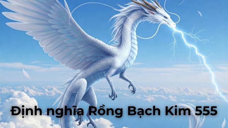 Định nghĩa Rồng Bạch Kim 555 trong thế giới số