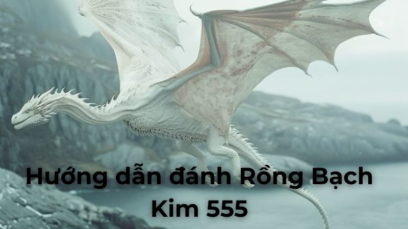 Hướng dẫn từng bước đánh Rồng Bạch Kim 555 