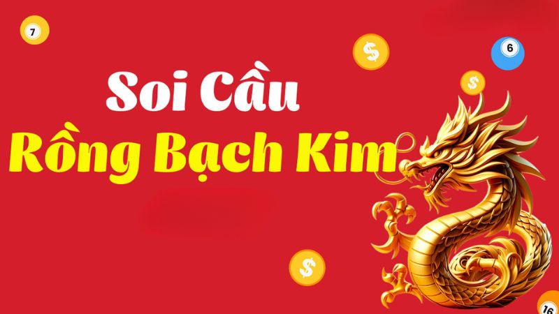 Cách thức hoạt động của Rồng Bạch Kim Chính Xác 100
